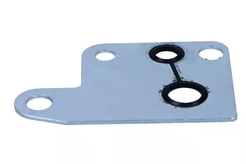 Gasket, vacuum pump