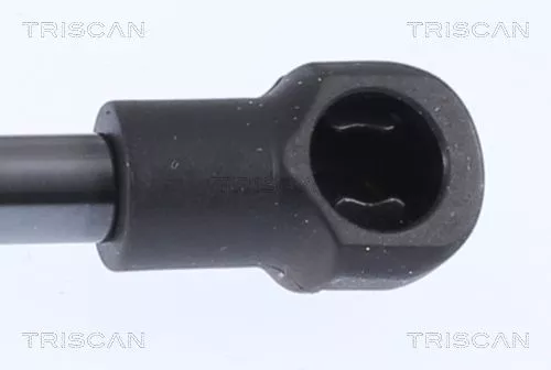 TRISCAN Gas Spring, boot/cargo area (871028300)