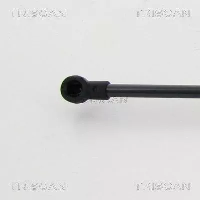 TRISCAN Gas Spring, boot/cargo area (8710292019)
