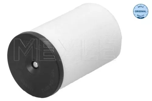 MEYLE Hydraulic Filter, automatic transmission (1001360012)
