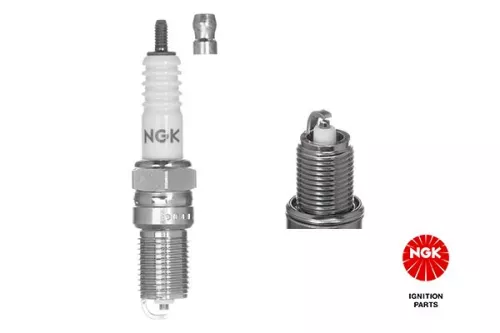 NGK Spark Plug (2364)