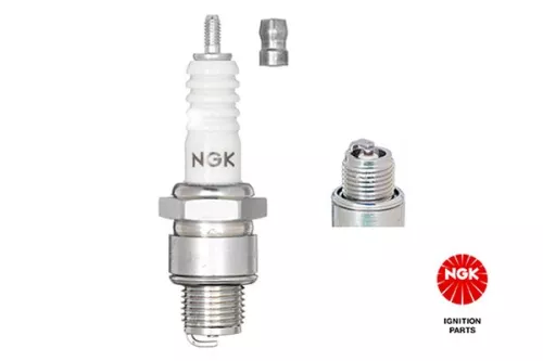 NGK Spark Plug (4510)