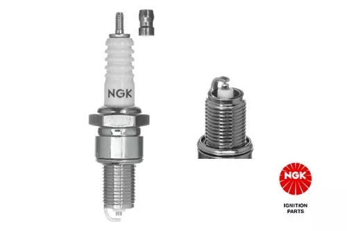 NGK Spark Plug (6511)
