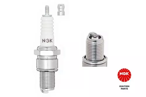 NGK Spark Plug (6410)