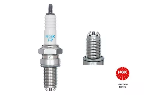 NGK Spark Plug (6193)
