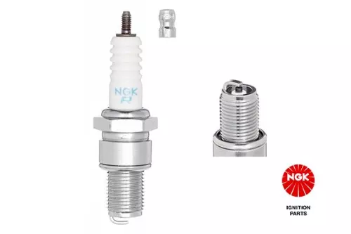 NGK Spark Plug (5122)