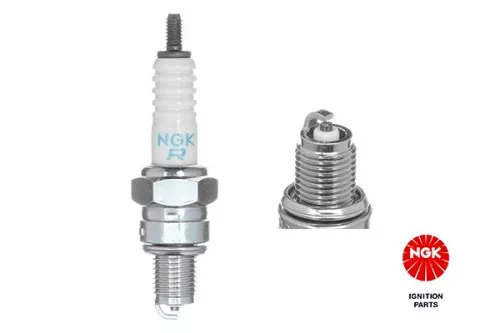 NGK Spark Plug (2983)