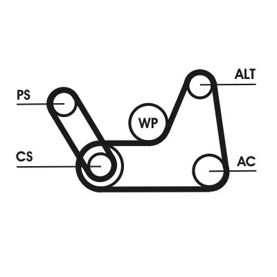 CONTINENTAL CTAM V-ribbed Belt Set (6PK1019 ELAST T1)