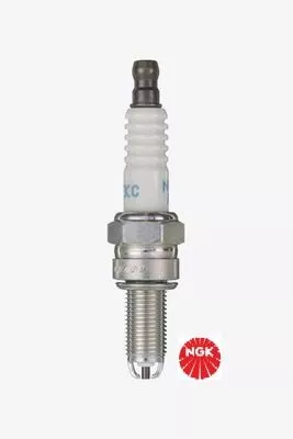 NGK Spark Plug (7004)