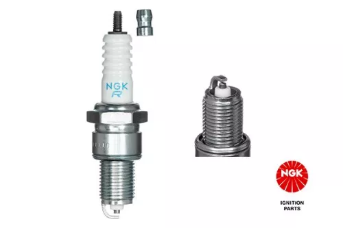 NGK Spark Plug (7822)