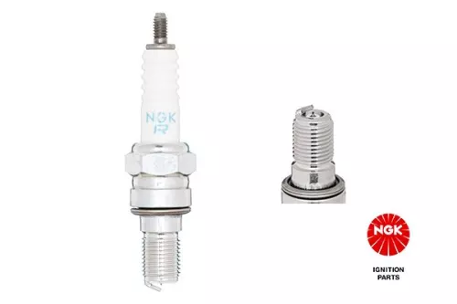 NGK Spark Plug (7791)