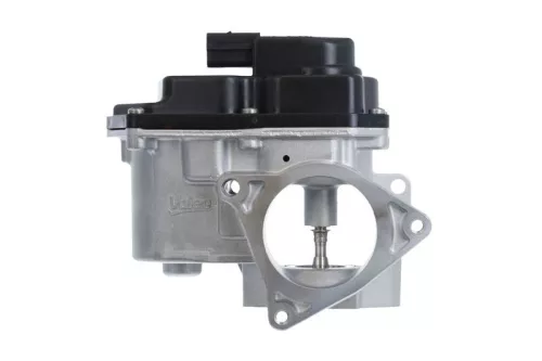 VALEO EGR Valve (700424)