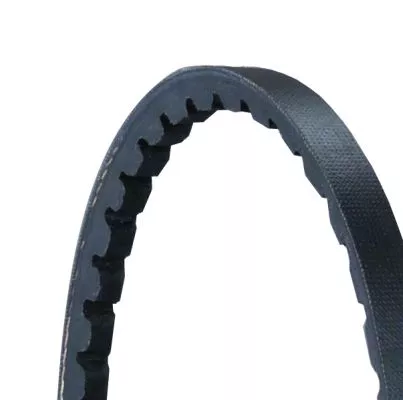 CONTINENTAL CTAM V-Belt (AVX10X725)
