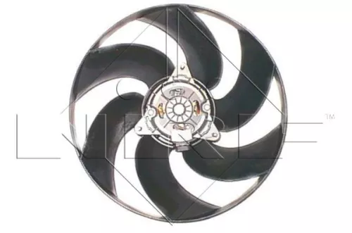 Fan, engine cooling