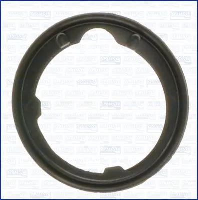 AJUSA Seal, thermostat (00668400)