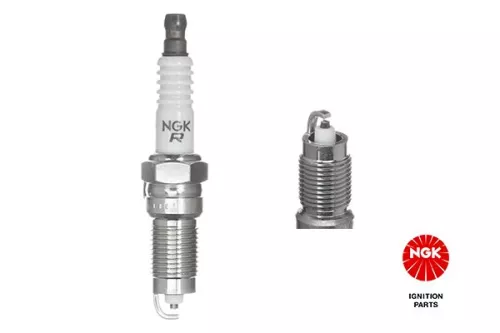 NGK Spark Plug (7060)