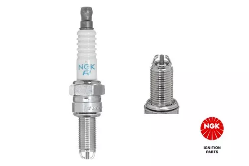 NGK Spark Plug (1462)
