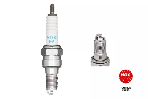 NGK Spark Plug (3486)