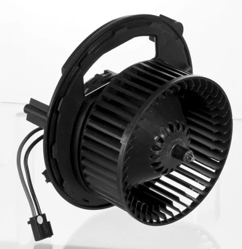 Interior Blower
