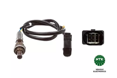 Oxygen Sensor