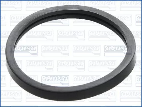 AJUSA Seal, thermostat (00522800)