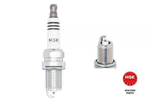 NGK Spark Plug (2669)