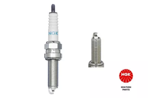 NGK Spark Plug (4313)