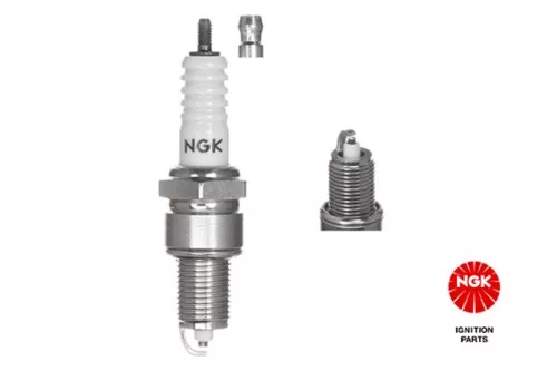 NGK Spark Plug (5411)