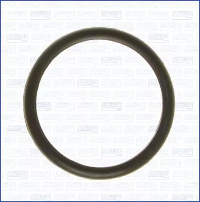 AJUSA Seal, thermostat (00538100)