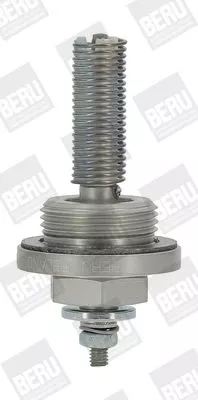 BorgWarner (BERU) Glow Plug, parking heater (GH931)
