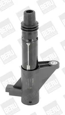 BorgWarner (BERU) Ignition Coil (ZS347)