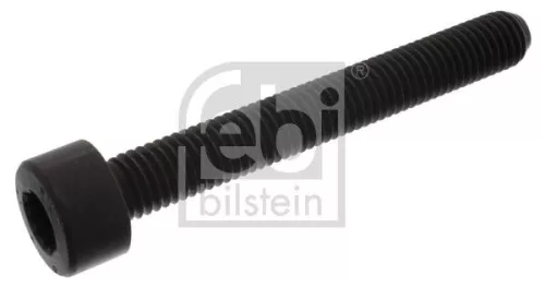 FEBI BILSTEIN Bolt, crankshaft mounting bracket (18164)