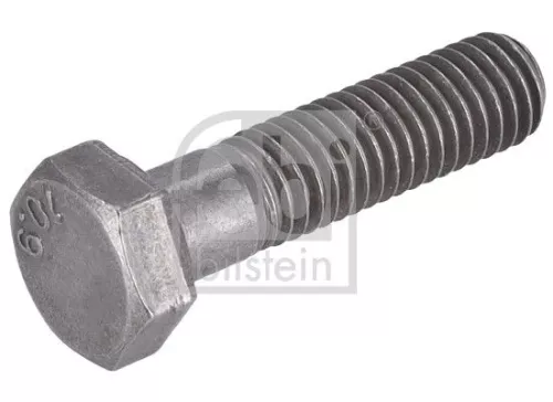 FEBI BILSTEIN Bolt, tensioner pulley (197169)