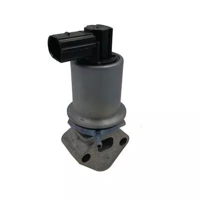 MAGNETI MARELLI EGR Valve (571822112071)