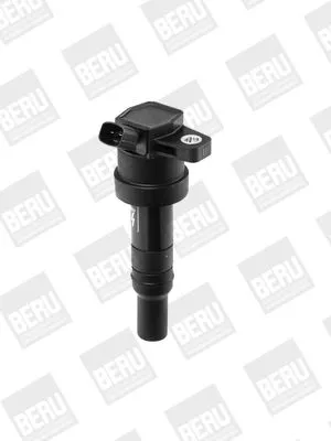 BorgWarner (BERU) Ignition Coil (ZS476)
