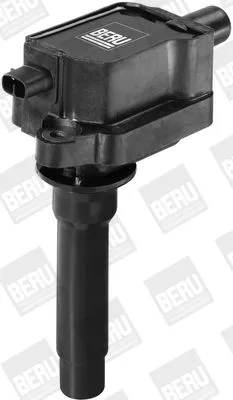 BorgWarner (BERU) Ignition Coil (ZS434)