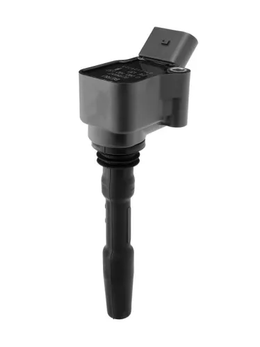BorgWarner (BERU) Ignition Coil (ZSE137)