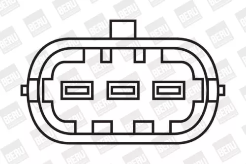 BorgWarner (BERU) Ignition Coil (ZS041)