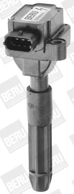 BorgWarner (BERU) Ignition Coil (ZS041)
