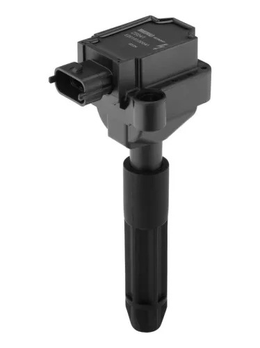 BorgWarner (BERU) Ignition Coil (ZS041)