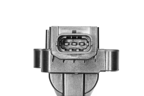 BorgWarner (BERU) Ignition Coil (ZS041)