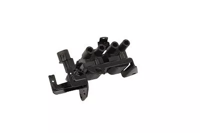 BorgWarner (BERU) Ignition Coil (ZS536)