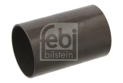 Bushing, leaf spring