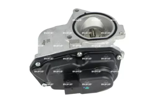 NRF EGR Valve (48389)
