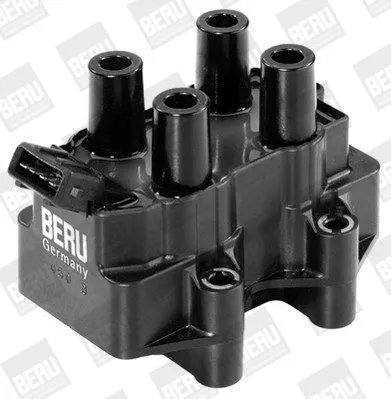 BorgWarner (BERU) Ignition Coil (ZS344)