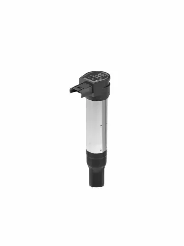 BorgWarner (BERU) Ignition Coil (ZS385)