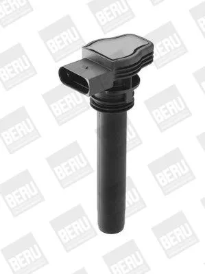 BorgWarner (BERU) Ignition Coil (ZSE142)