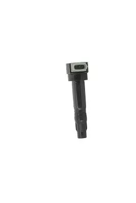 BorgWarner (BERU) Ignition Coil (ZS547)