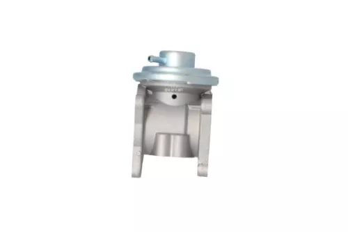 NRF EGR Valve (48321)