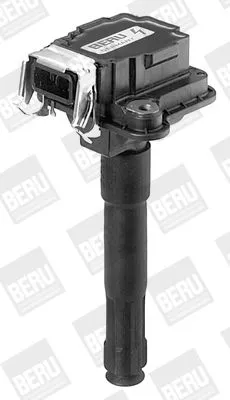 BorgWarner (BERU) Ignition Coil (ZS016)